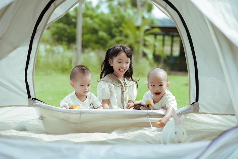 Fairy Picnics